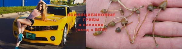 стаф Остров