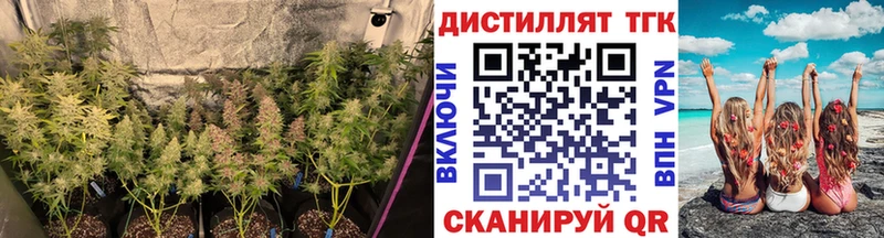 ТГК THC oil MEGA Нижний Новгород где продают наркотики