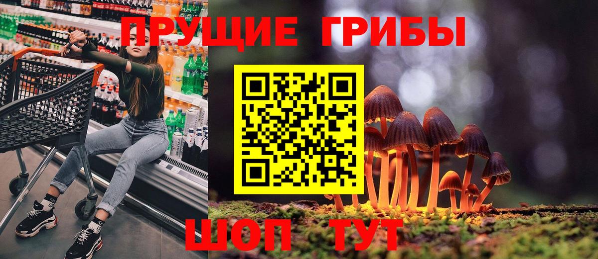 Псилоцибиновые грибы Cubensis Нижний Новгород